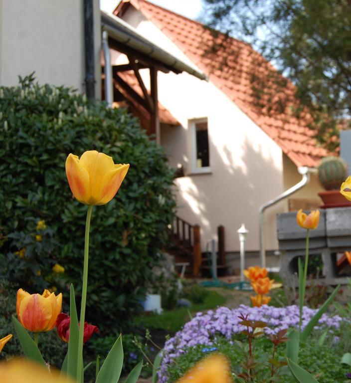 Maya Guesthouse Eger Exterior photo